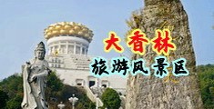 淫荡美女日骚逼中国浙江-绍兴大香林旅游风景区